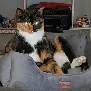 Meet your Posher, Karin